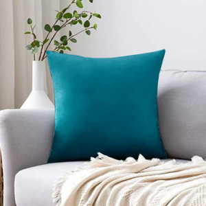 Coussin Décoratif velours